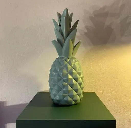 Le Duplex Equipe דירה