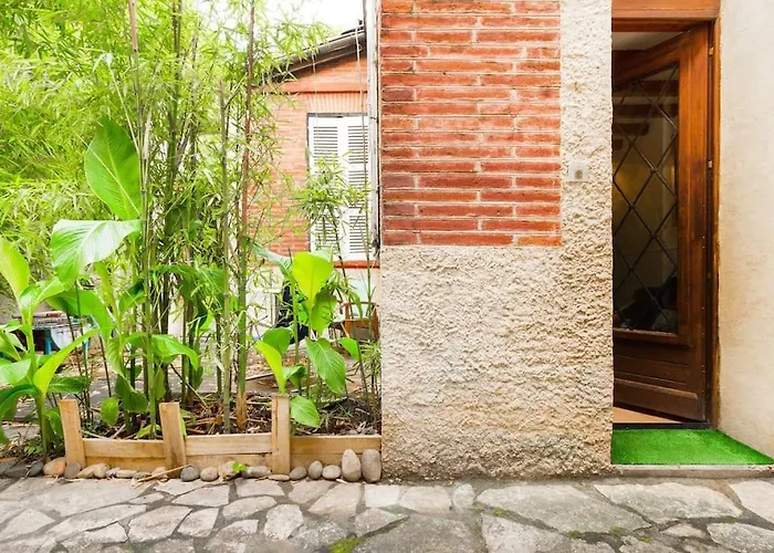 Le Duplex Equipe דירה טולוז