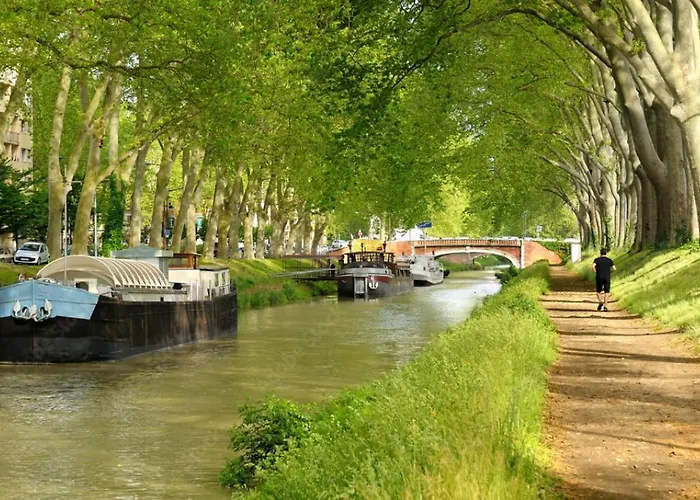 דירה Le Duplex Equipe טולוז